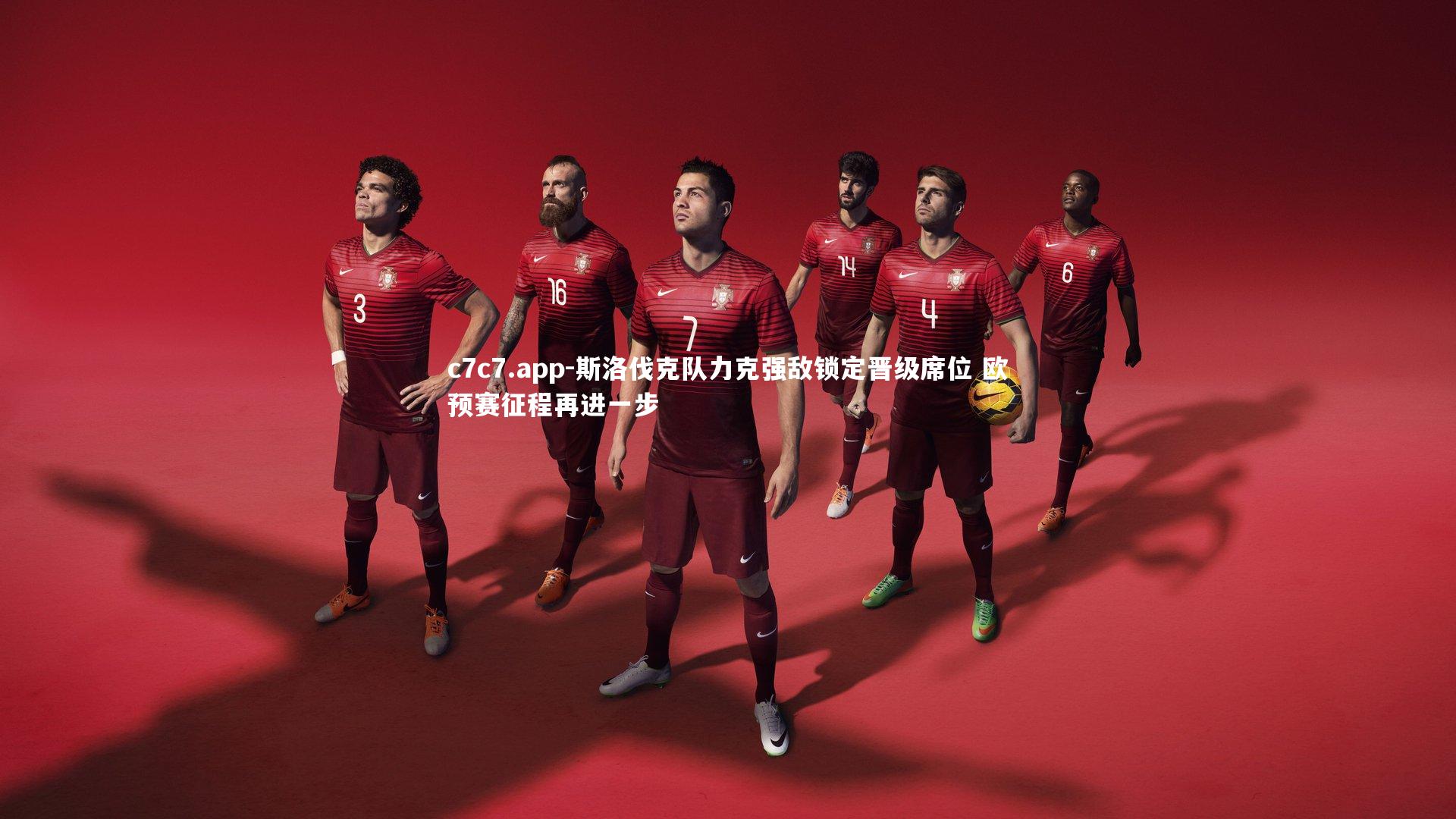 斯洛伐克队力克强敌锁定晋级席位 欧预赛征程再进一步