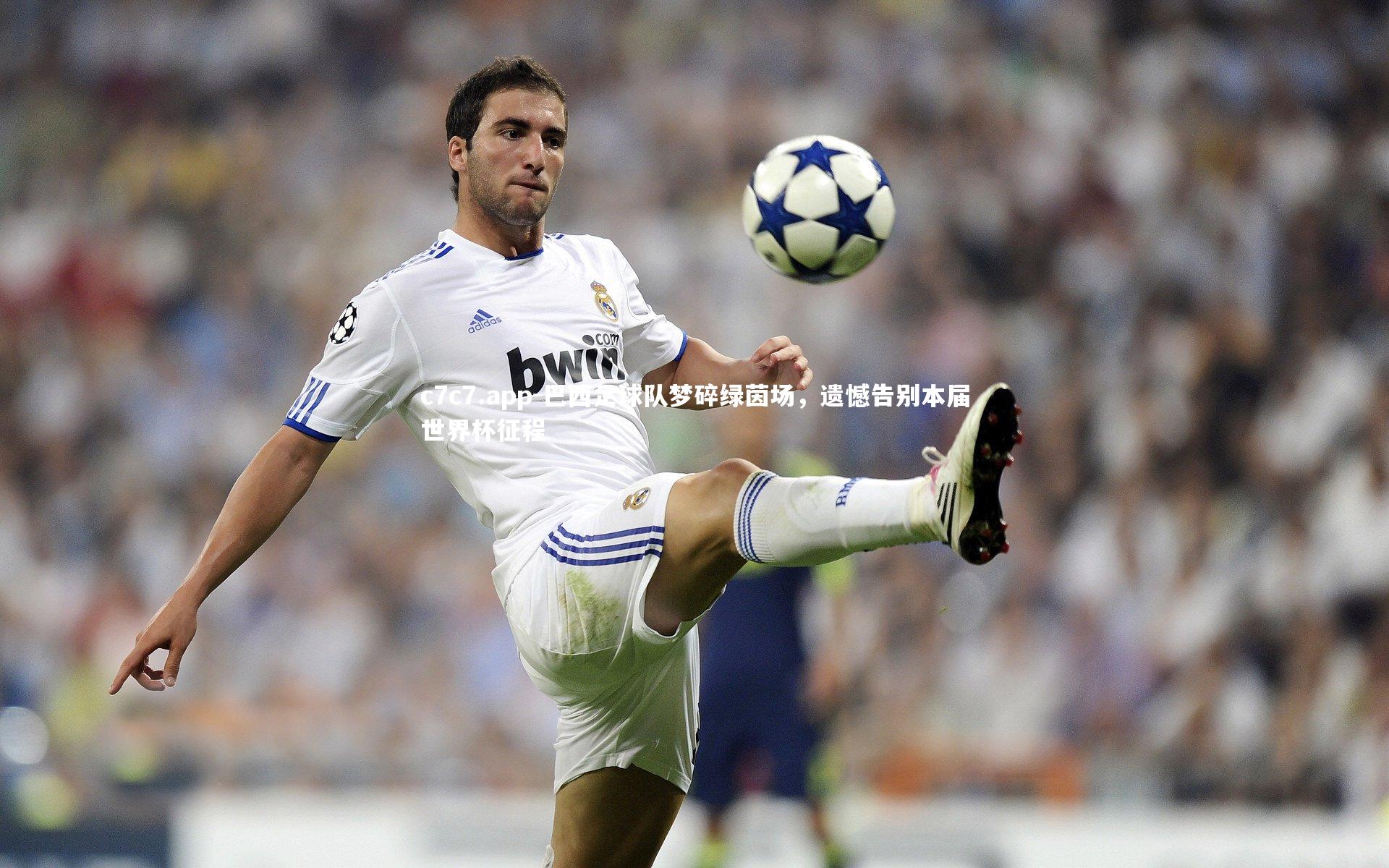 巴西足球队梦碎绿茵场,遗憾告别本届世界杯征程